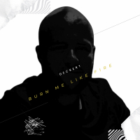 Burn Me Like Fire (Single)