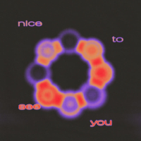 Nice To See You (Single)