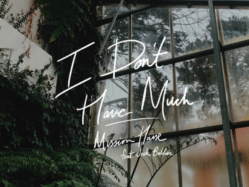 I Don't Have Much (Single)