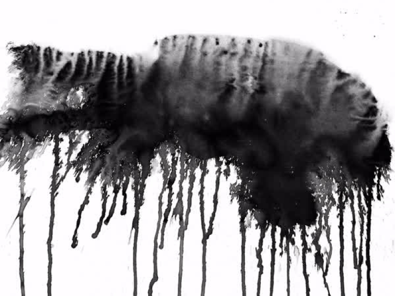 maximum black (Single)