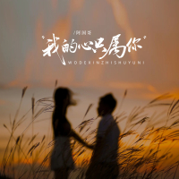 我的心只属你 (DJ九零版) (Single)