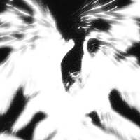 STANDART SCHEISS (Single)