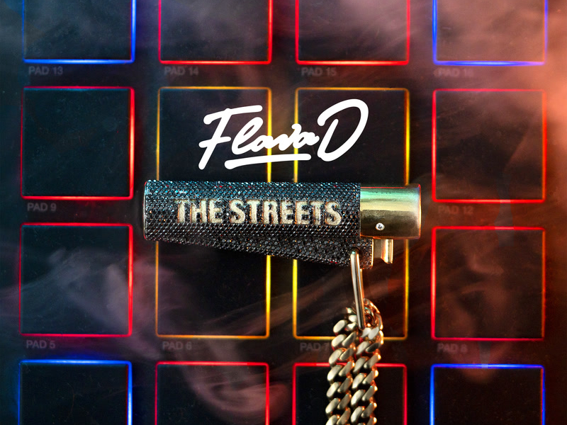 Who's Got The Bag (Flava D Remix) (Single)