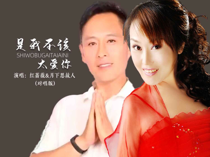 是我不该太爱你（对唱版） (EP)