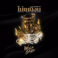 ไม่เหมือน ( Mai Muan ) (Single)