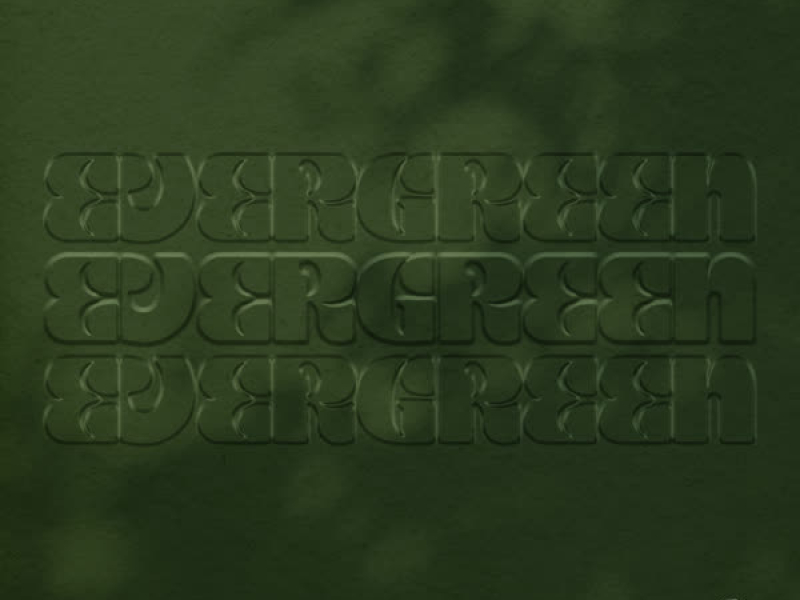 Evergreen (Single)