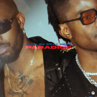 Paradise (Remix) (Single)