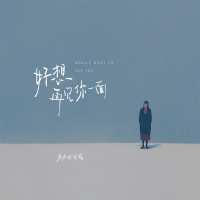 好想再见你一面 (Single)