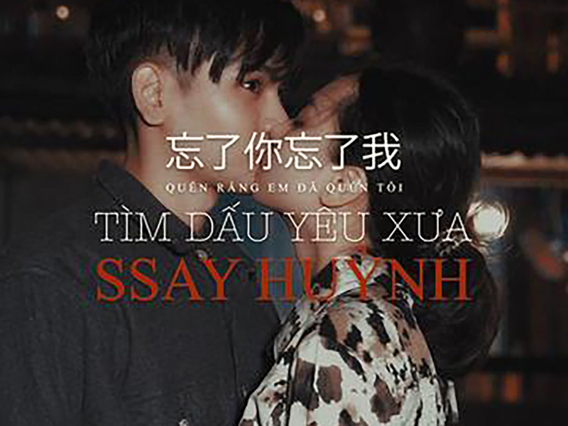 Tìm Dấu Yêu Xưa (Single)