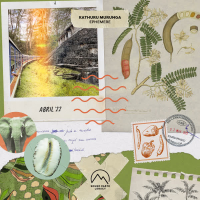 Kathuru Murunga (Single)