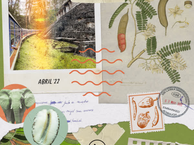 Kathuru Murunga (Single)