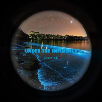 Under The Influence (Afro House) (Single)