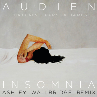 Insomnia (Ashley Wallbridge Remix) (Single)