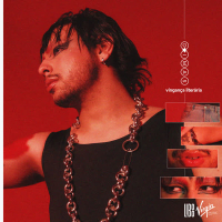 vingança literária (Single)