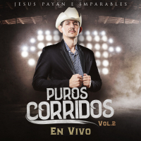 Puros Corridos, Vol. 2 (En Vivo)