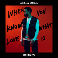 When You Know What Love Is (Remixes) (EP)