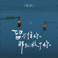 留不住你 那就放了你 (Single)