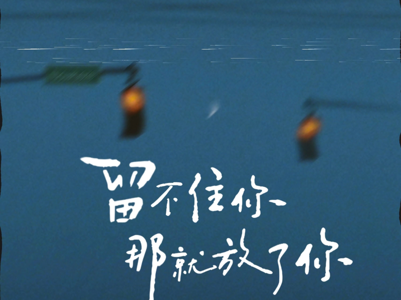 留不住你 那就放了你 (Single)