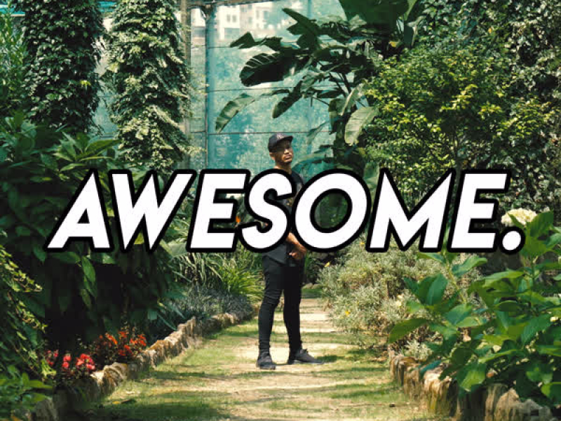 Awesome. (Single)
