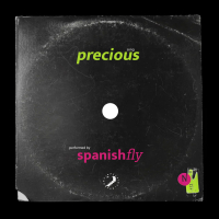 Precious (Extended Dance Mix) (Single)