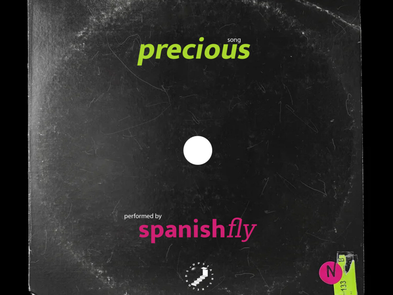 Precious (Extended Dance Mix) (Single)