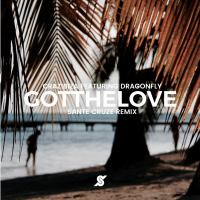 Got the Love (Sante Cruze Remix) (Single)