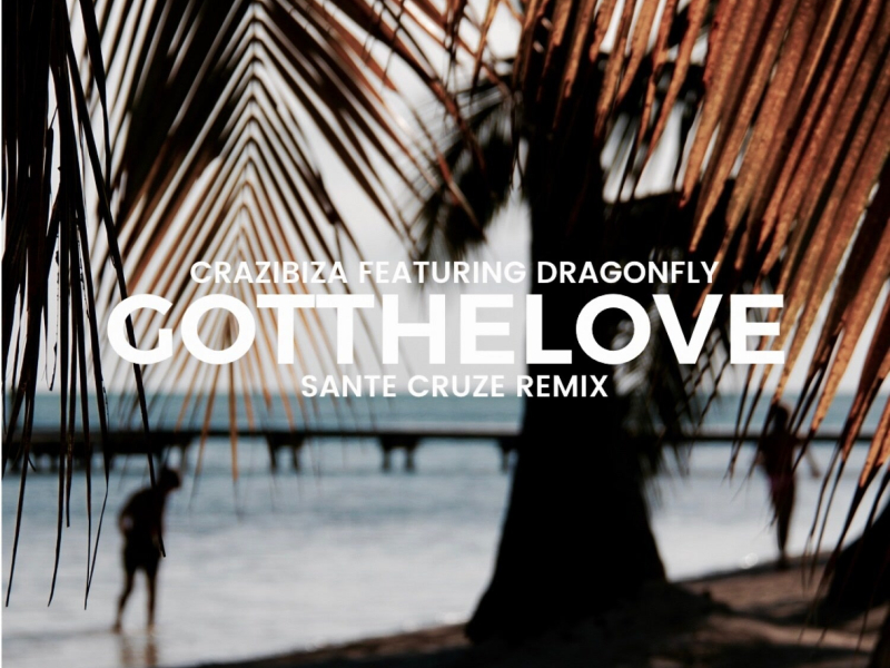 Got the Love (Sante Cruze Remix) (Single)