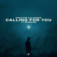 Calling For You (Single)