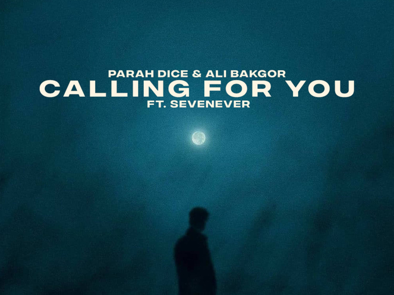 Calling For You (Single)