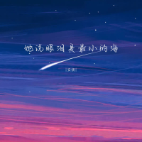 她说眼泪是最小的海 (Single)