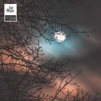 Fever Dream (Single)