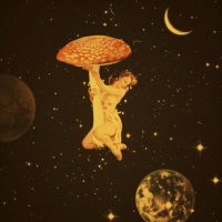 i fvcked up on shrooms (Single)