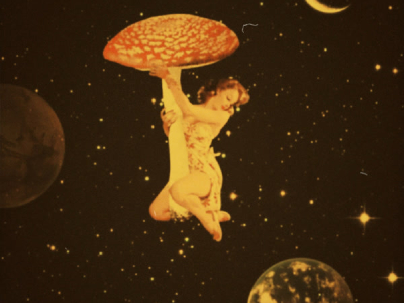 i fvcked up on shrooms (Single)