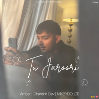 Tu Jaroori (Single)