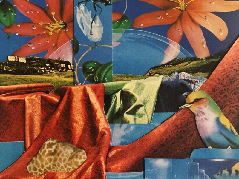 Forest Wanderer (Single)