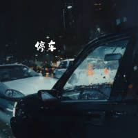 停车 (Single)