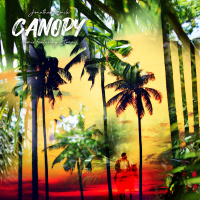 Canopy (Remix) (Single)
