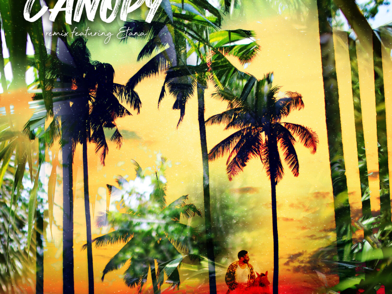 Canopy (Remix) (Single)