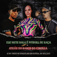 ELE METE BALA É PITBULL DE RAÇA × ATRÁS DO BANCO DO COROLLA (Single)