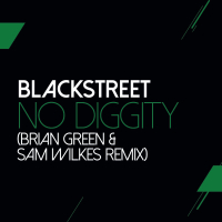 No Diggity (Sam Wilkes & Brian Green Remix) (Single)