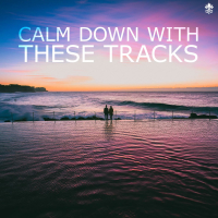 Calm Down With These Tracks (Single)