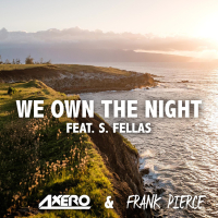 We Own The Night (feat. S. Fellas) (Original Mix) (Single)