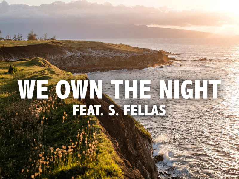 We Own The Night (feat. S. Fellas) (Original Mix) (Single)