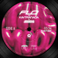 The Mood (Jayda G Remix) (Single)