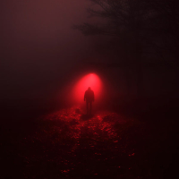 into the illusion (Single)