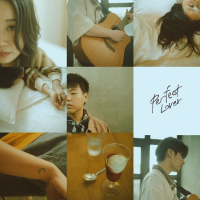 Perfect Lover (Single)