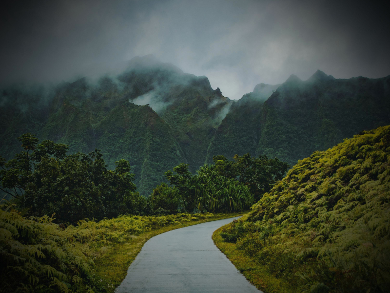 Rain and Nature Sounds for Mindfulness Meditation (Single)