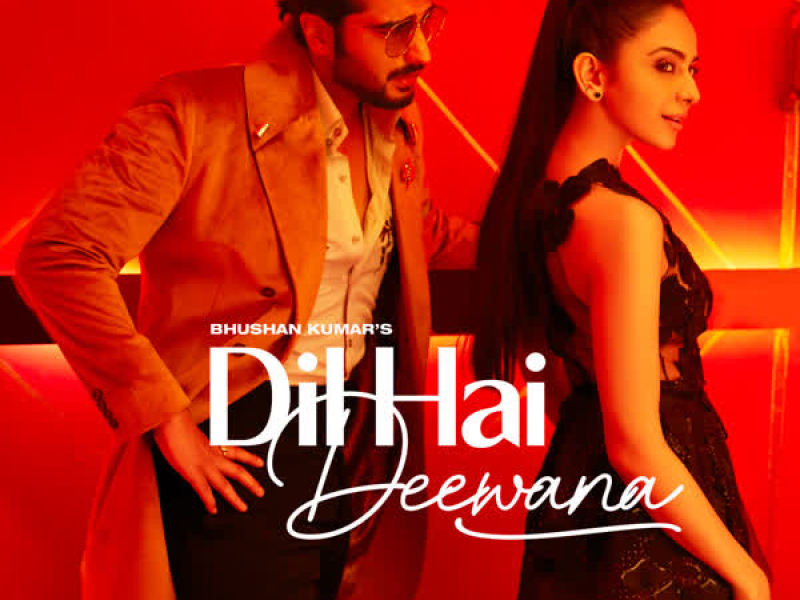 Dil Hai Deewana (Single)