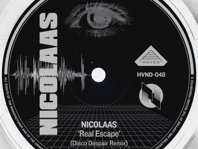 Real Escape (Disco Despair Remix) (Single)