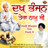 Dukh Bhanjan Tera Naam Ji (Single)
